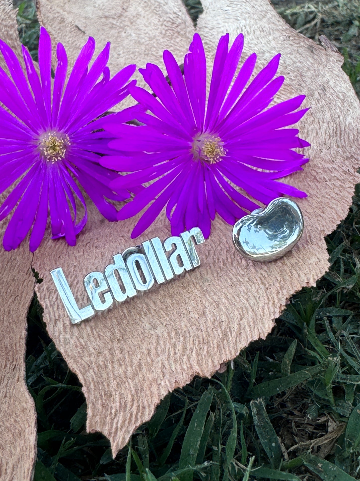 Le$bean Lesbian Earrings